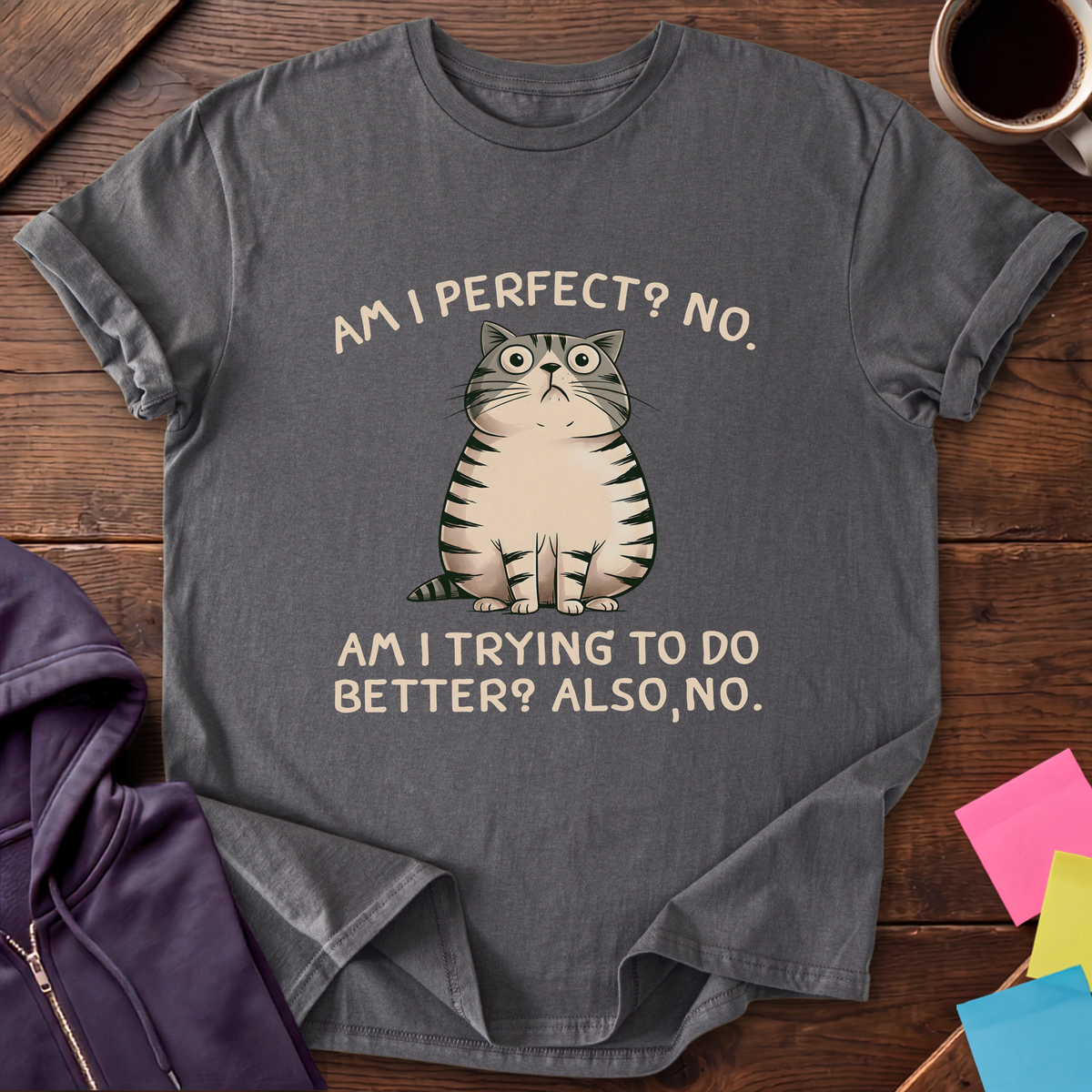 Nobody's Perfect, No T-Shirt — Charcoal